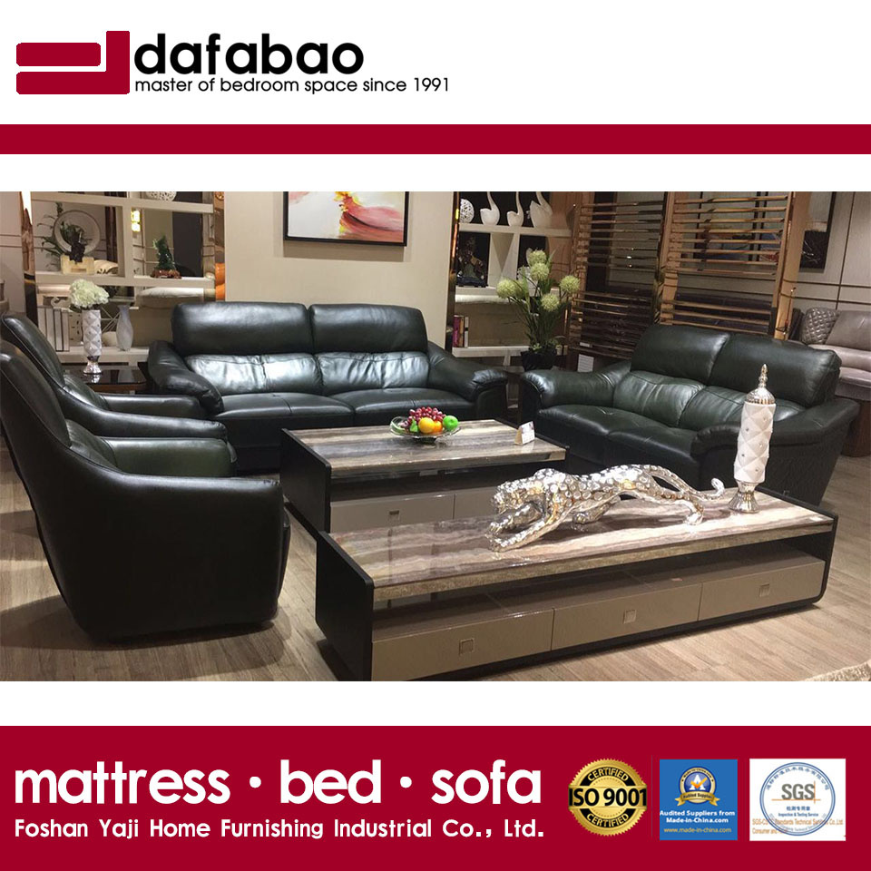 Best Selling Living Furniture Genuine Leather Sofa (FB5166)