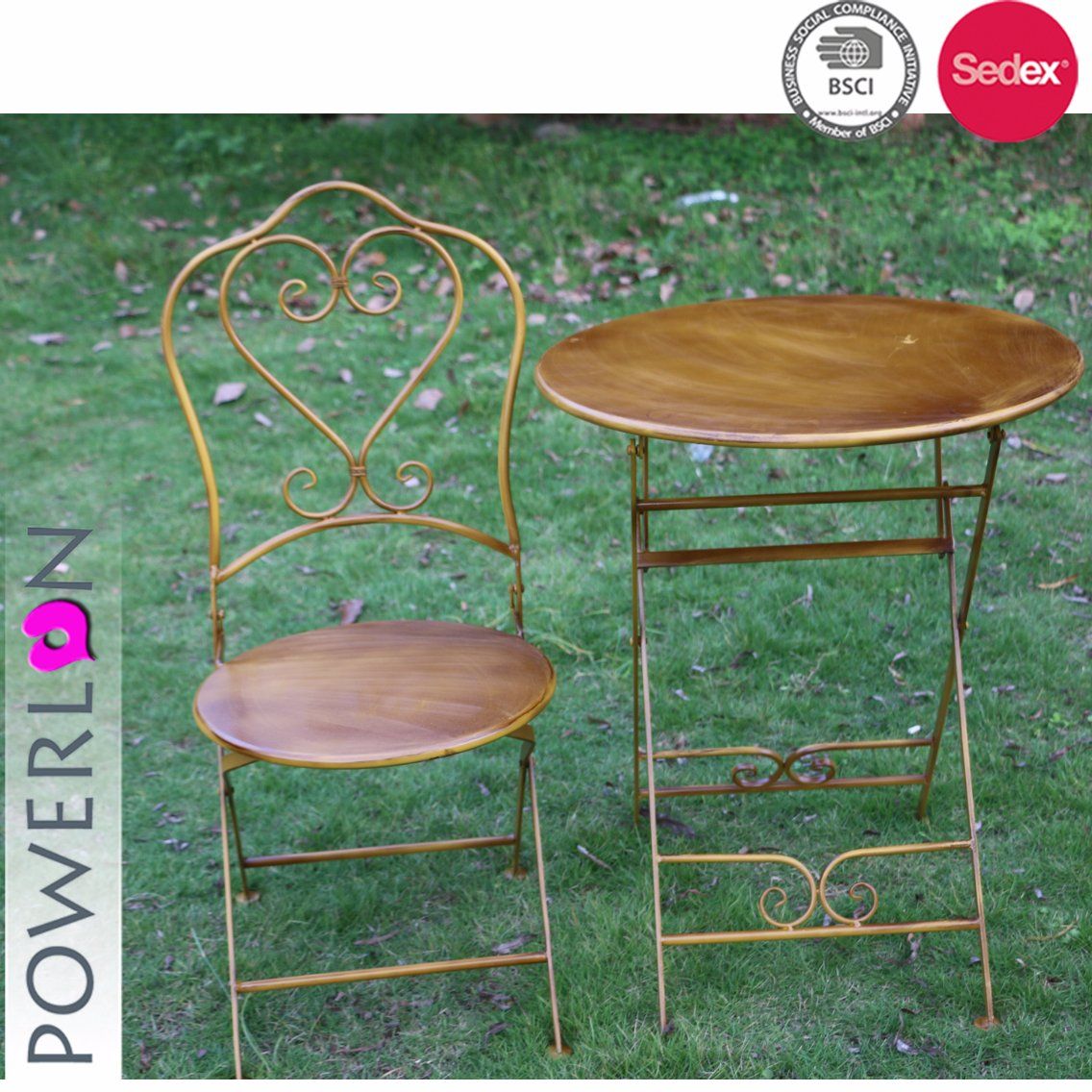 Hot Sales Garden Leisure Furniture (1table and 2 chairs)