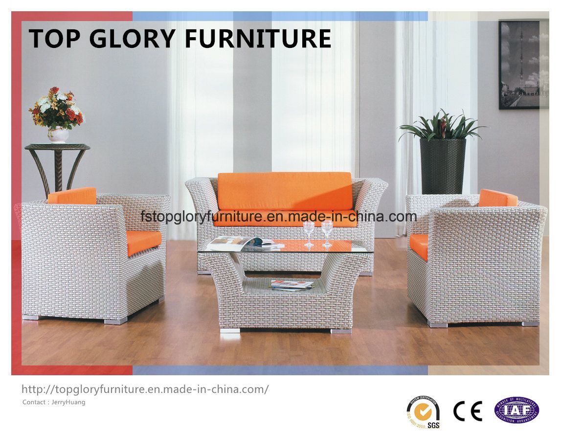 Outdoor Aluminum Rattan Garden Sofa Set (TG-031)