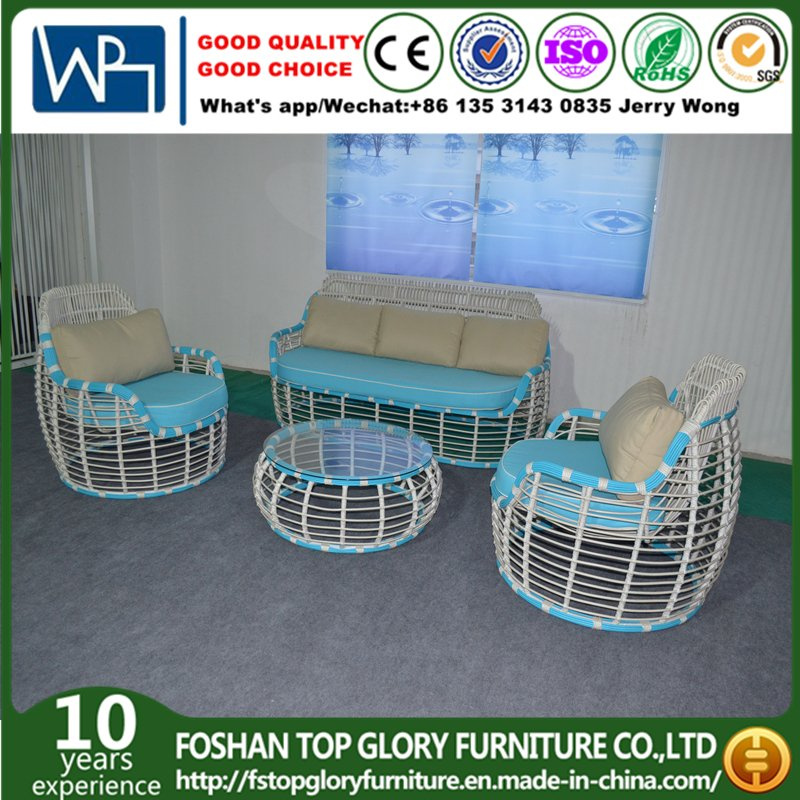 New Design Rattan and Aluminum Garden Sofa Sets (TG-8003)