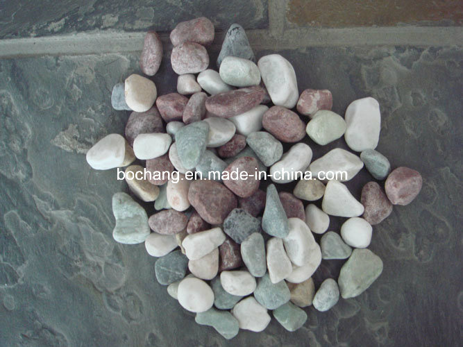 Natural Pebble Stone for Garden & Landscape Decoration