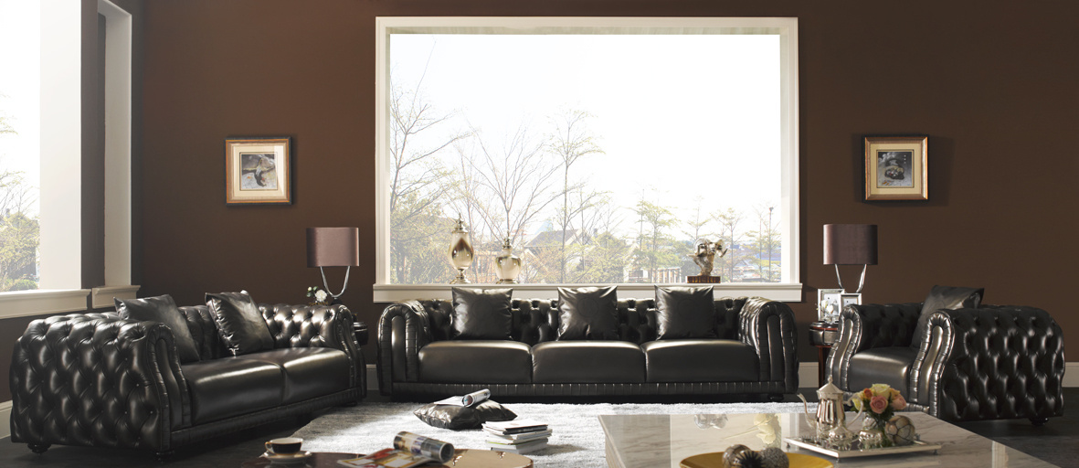 Living Room Furniture Leather Sofa