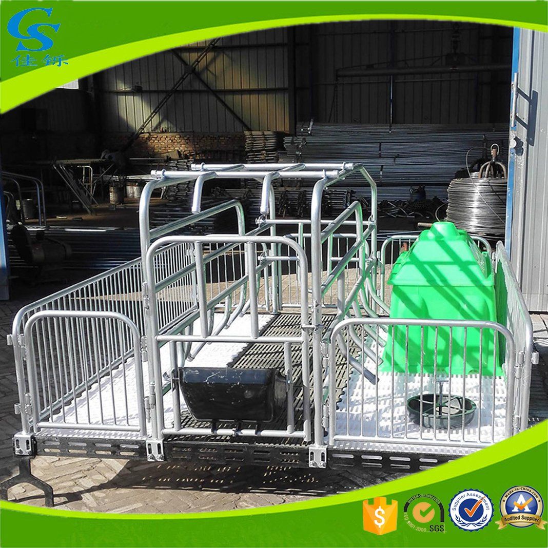 Pig Farming Nursery Crates Pig Sowing Bed