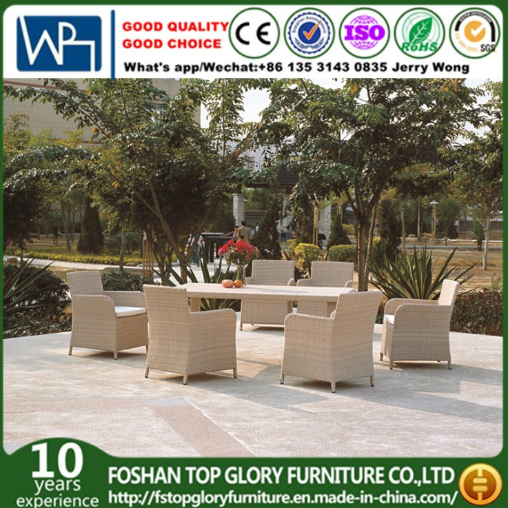 Garden Wicker Rattan/Patio Dining Sets for Outdoor Furniture (TG-JW48)