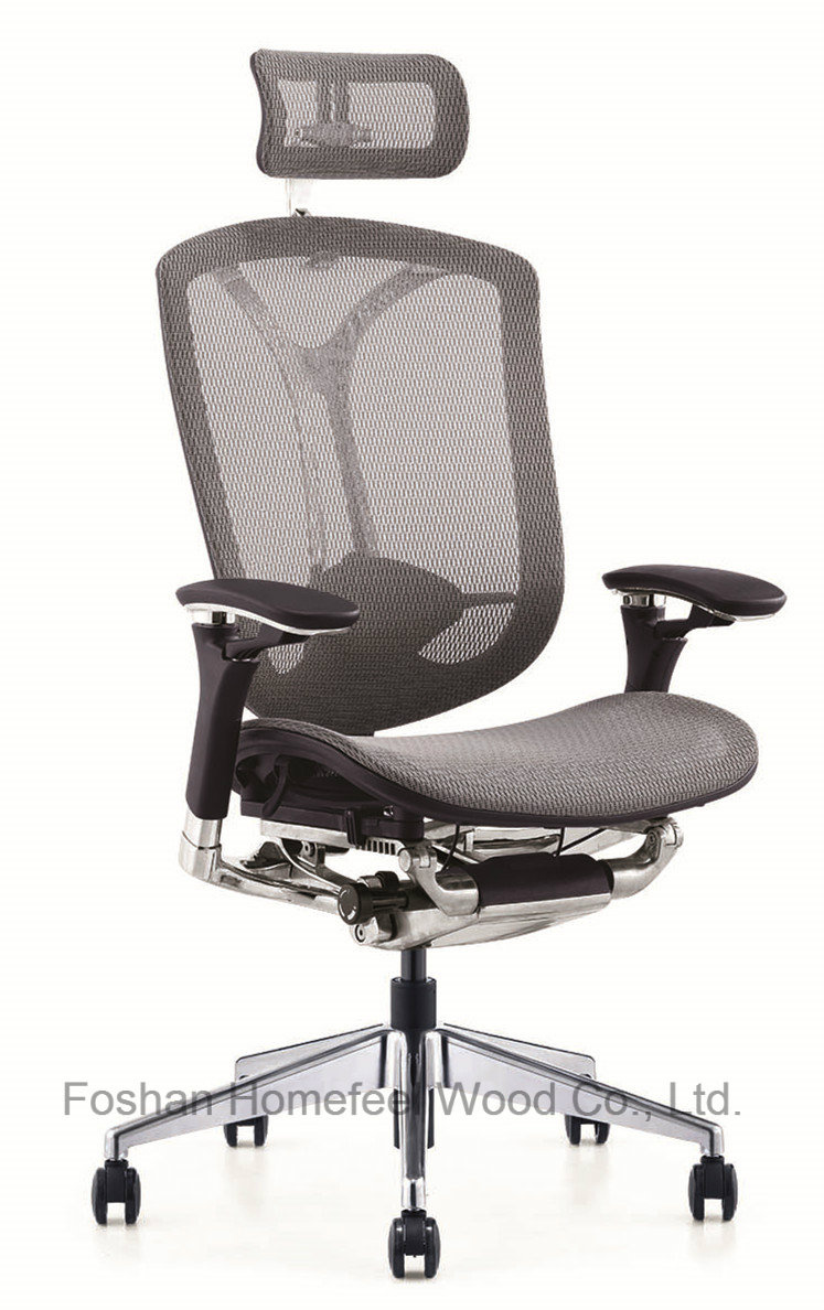 Ergohuman Mesh Office Chair with Headrest (HF-CH208A)