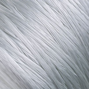E-Glass Fiberglass Direct Roving for Filament Winding