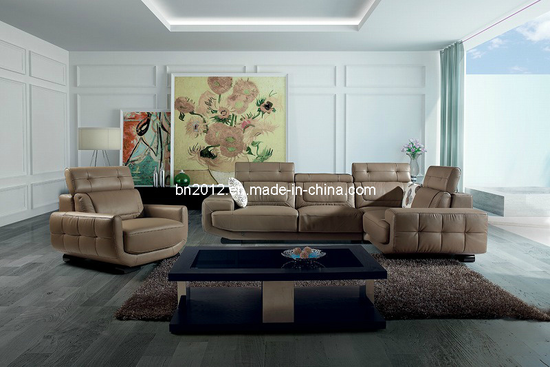 Living Room Genuine Leather Sofa (SBO-5921)