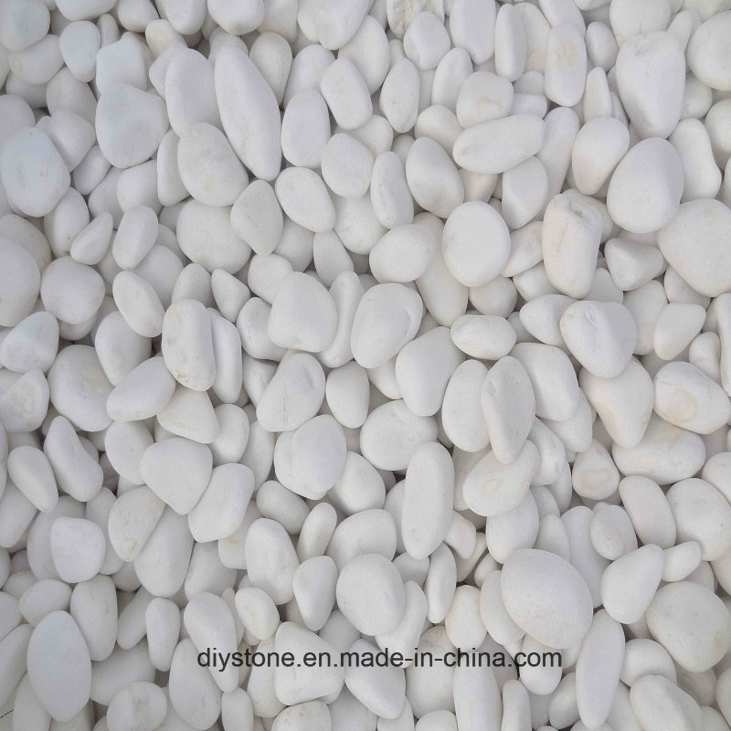 Snow White Stone Pebble for Garden Landscaping