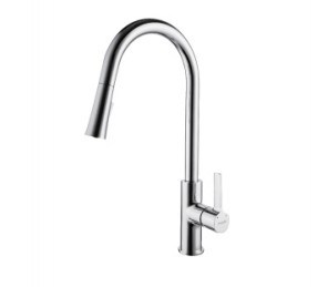Single Lever Pull-out Sink Faucet (DH24)