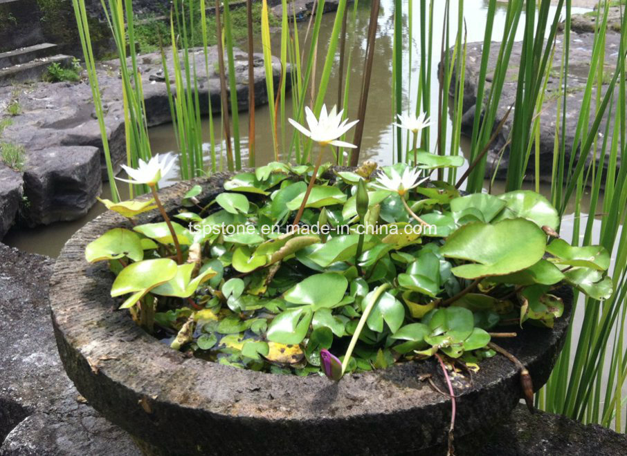 Granite Garden Stone Planter /Stone Vase/Flower Pot