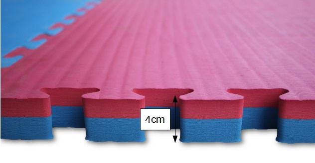 Cheap High Qualityy EVA Tatami Taekwondo Mat Puzzle Mat for Sale