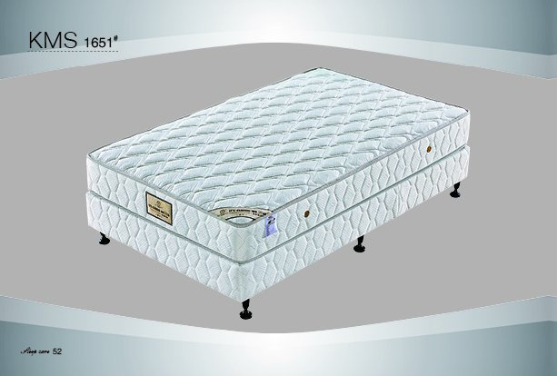 Hotel Mattress/Mattress/Continuous Spring Mattress/Tight Top Mattress/Fireproof Mattress /Bedroom Furniture