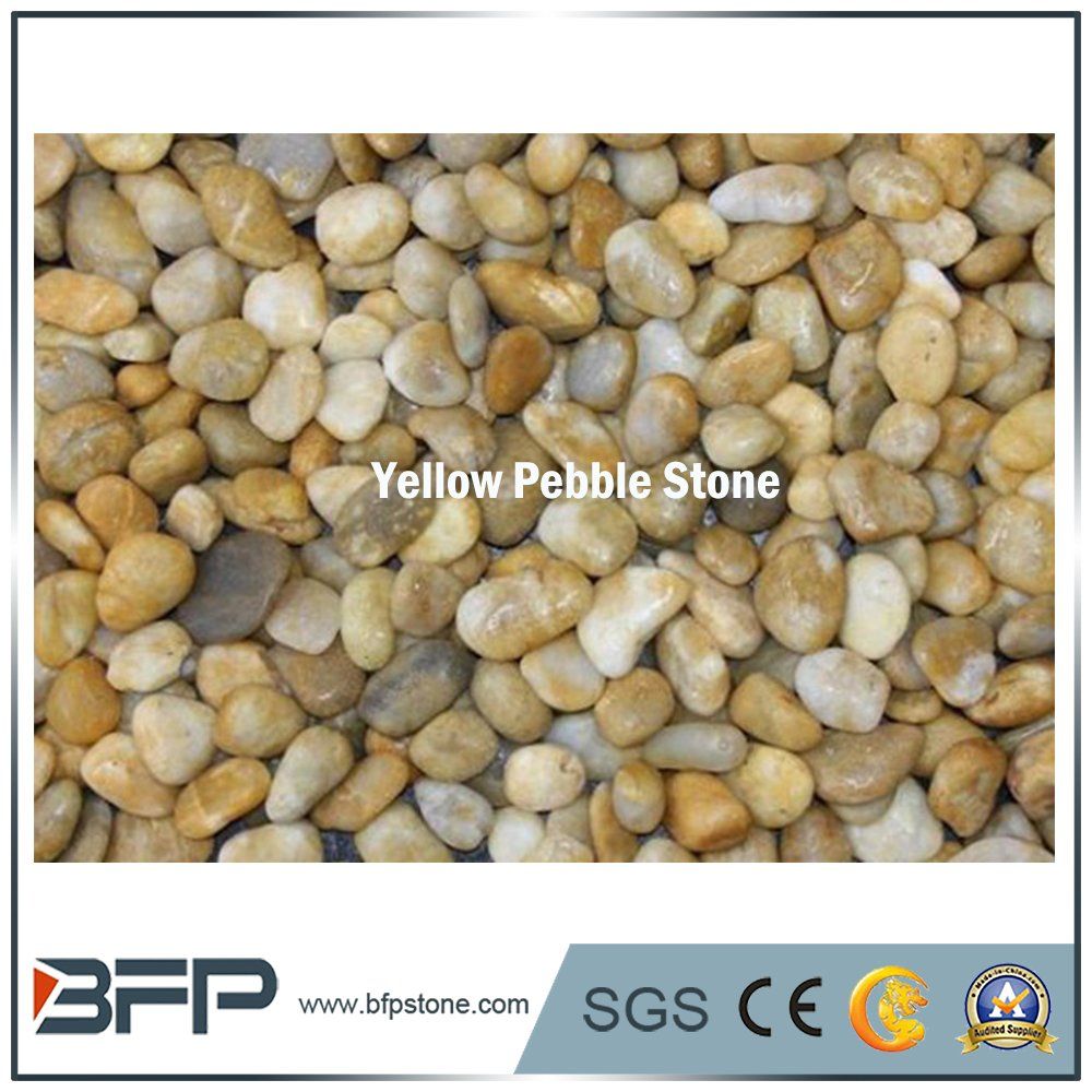 High Quality Yellow Pebble Stone & Cobble