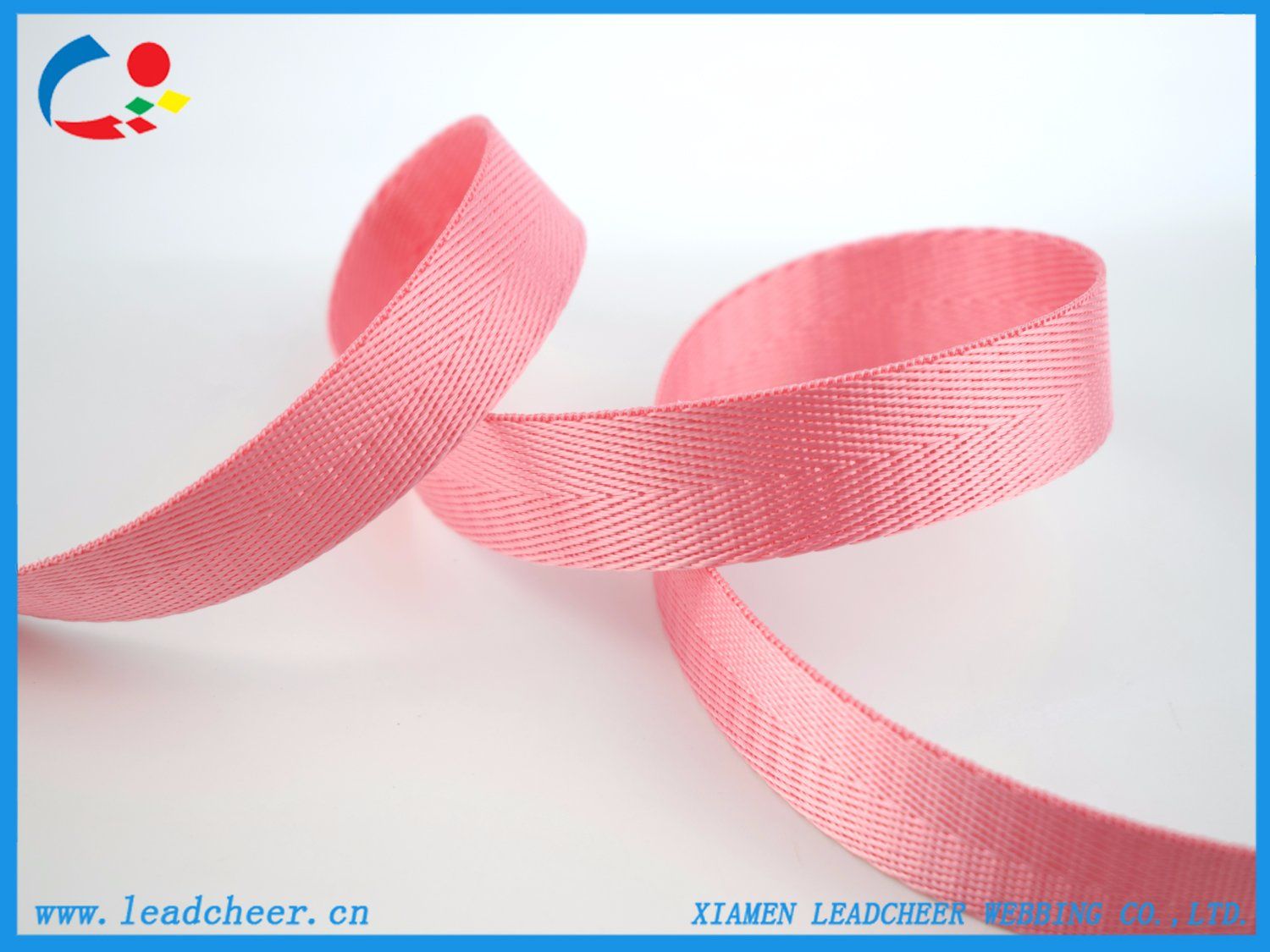 Customized Nylon Webbing Decoration Ribbon for Shoes Hats Handbags Garment