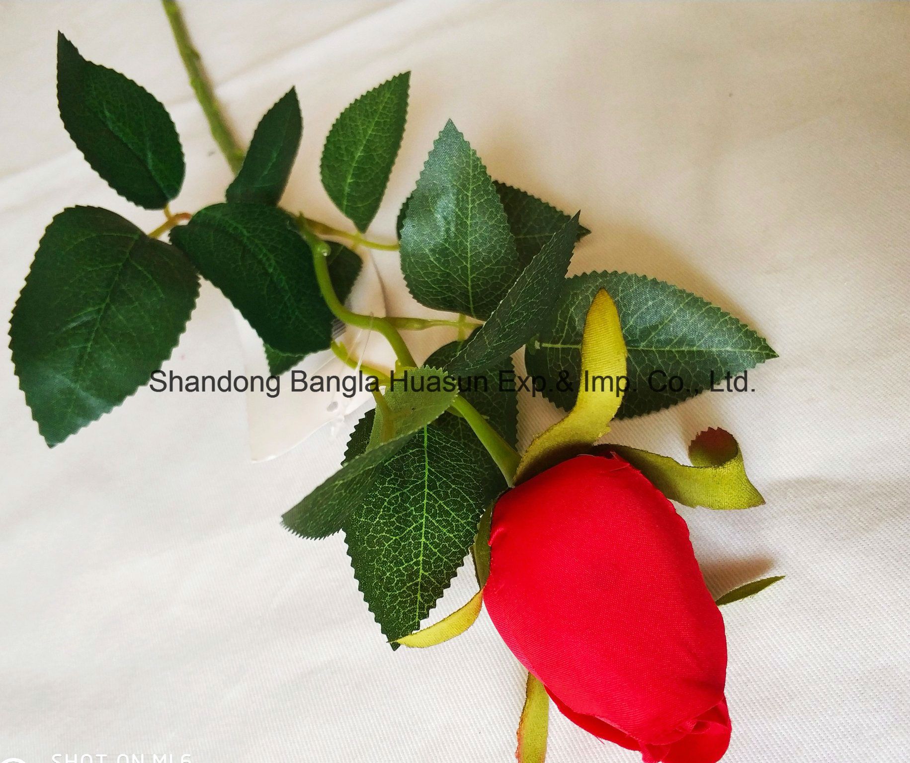 Silk and Plastic Artificial Flower for Home and Restaurant Decoration