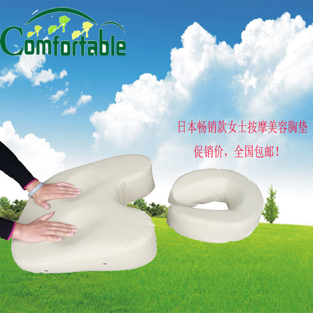 Massage Cushion-CE, RoHS Test