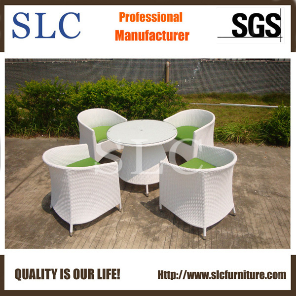 Garden Furniture Wholesalers (SC-B8217)