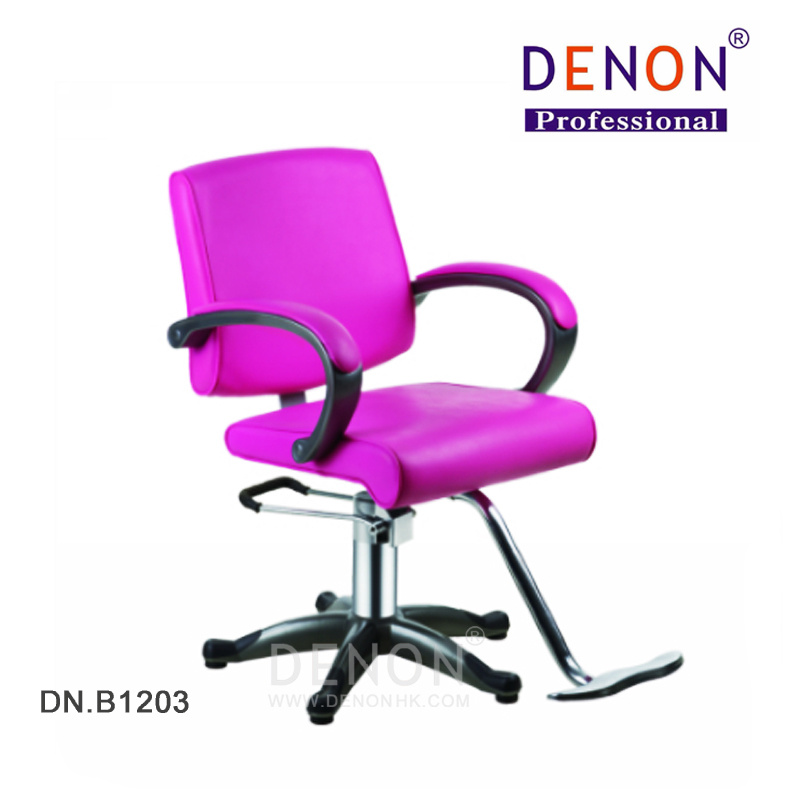 Beauty Salon Chairs Barber Chair for Sale Cheap (DN. B1203)