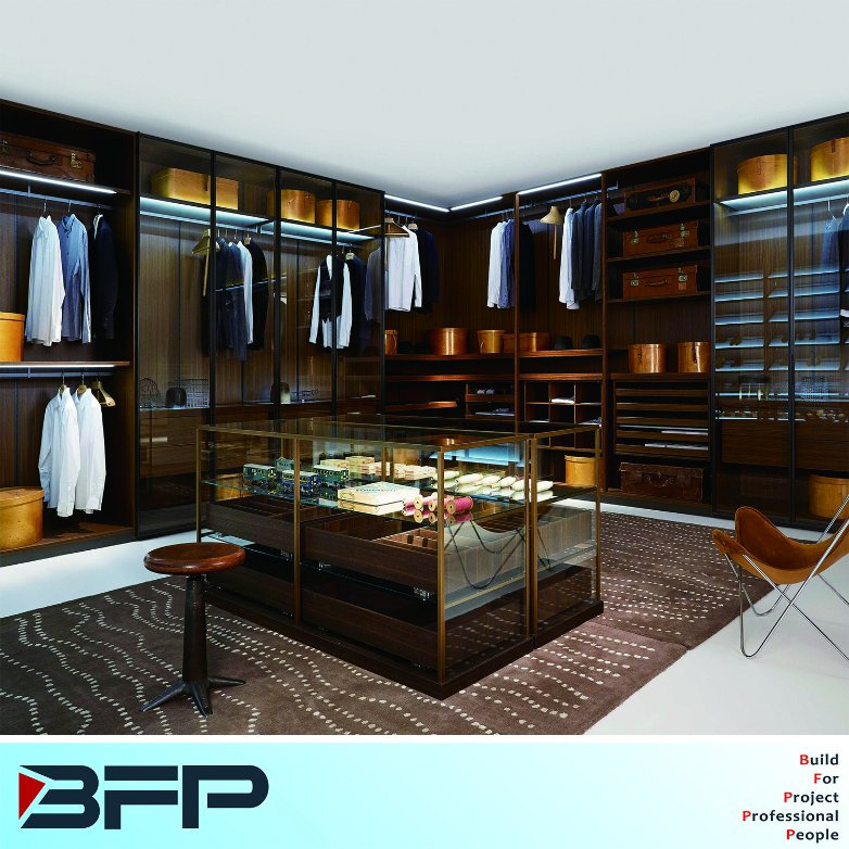 Wooden Wardrobe Glass Door Walk in Closet Bedroom