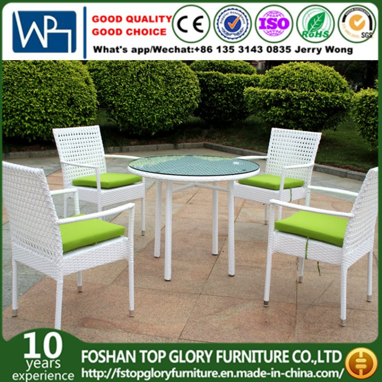 Patio Garden Aluminum PE Outdoor Rattan Dining Chair Set (TG-1652)