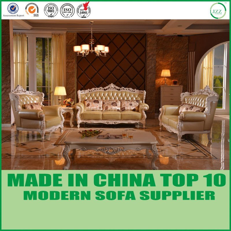 Modern Home Genuine Leather Sofa Furniture