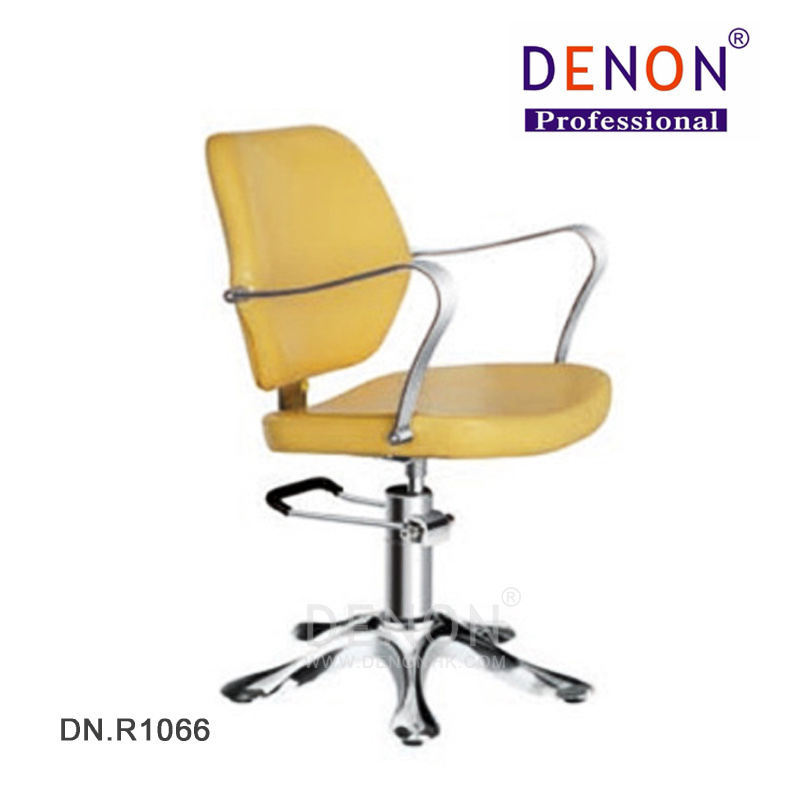 Salon Furniture Hydraulic Chair for Hair Equipment (DN. R1066)