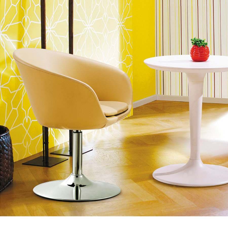 Living Room Furniture Leisure Chair with Coffee Table