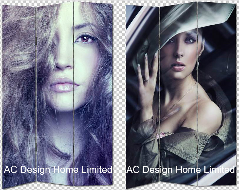 Elegant Sexy Girl Design Living Room Canvas and Wooden Printing Decorative Folding Screen Room Divider X 3 Panel