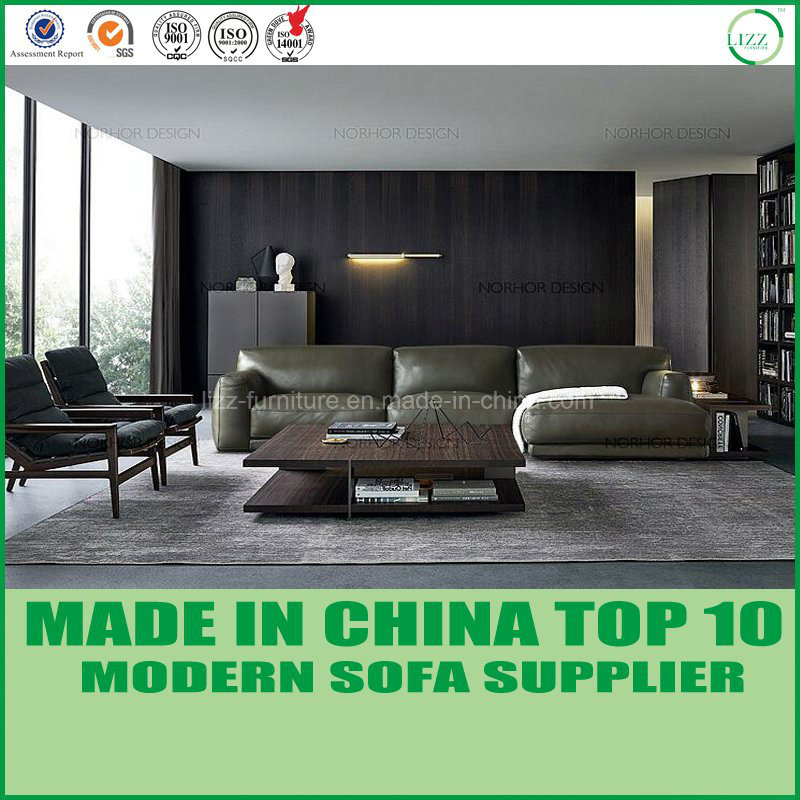 Furniture Living Room Leather Sofa Bed with Feather