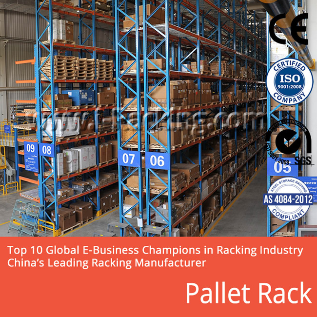 Warehouse Storage Pallet Rack/ Storage Rack /Heavy Duty Shelves
