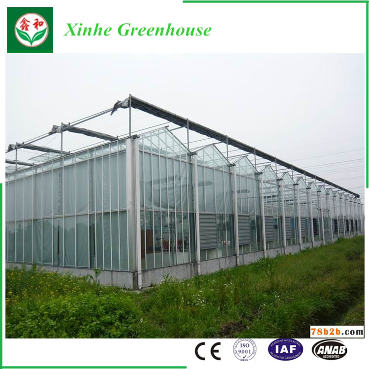 Glass Greenhouse