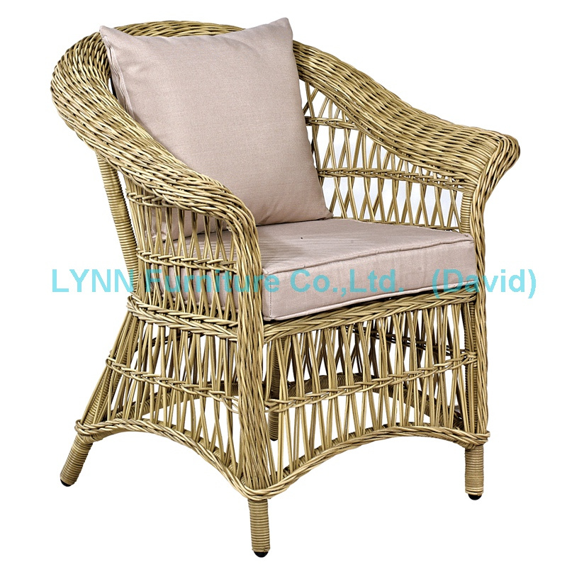 American Modern Outdoor Chair PE Rattan Chair Paio Armchair