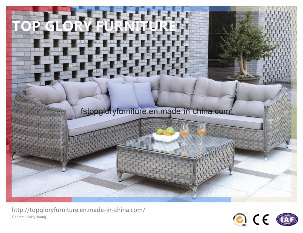 Garden Patio Outdoor PE Rattan Sofa Sets (TG-043)