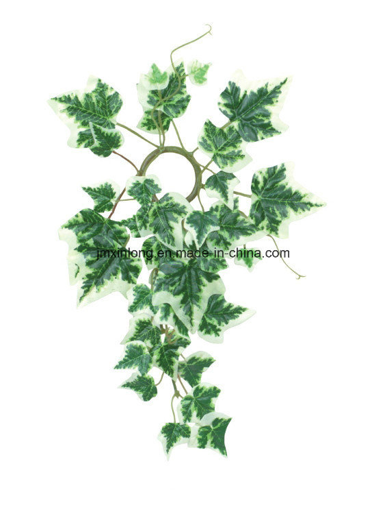 Department Decor Colorful Artificial Plant English IVY