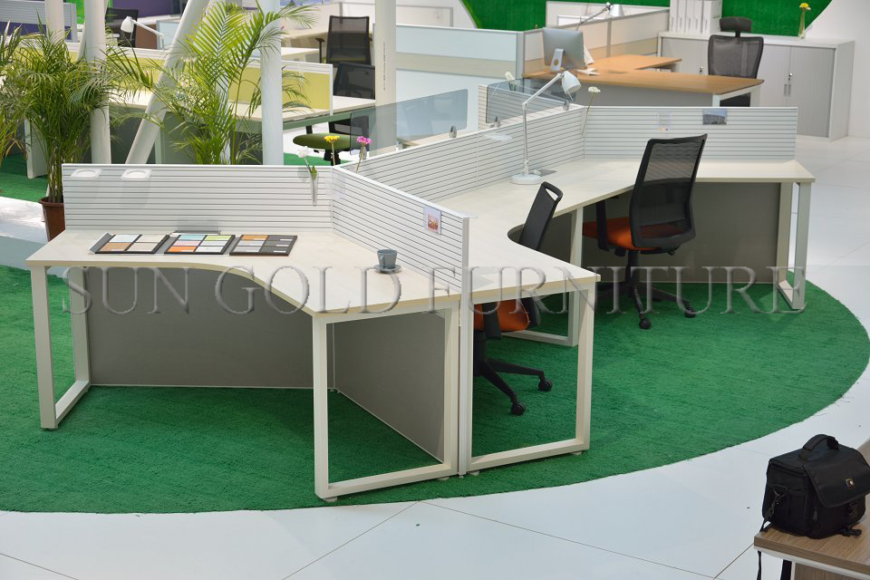 Practical Office Partition Office Workstation Office Furniture (SZ-WS63)