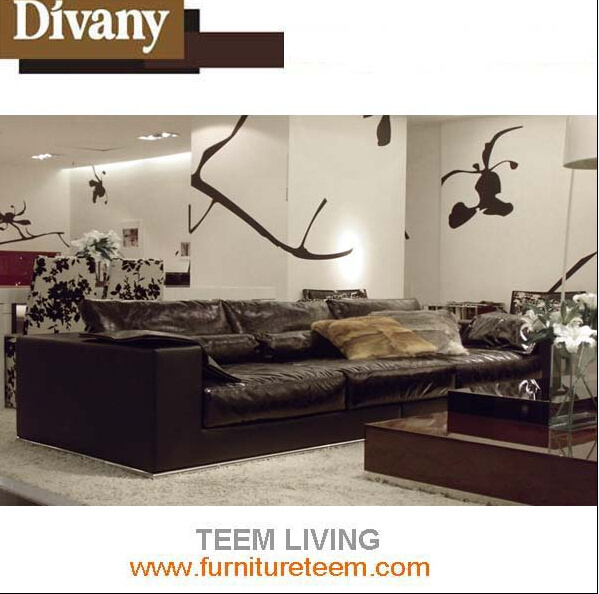 European Style Real Leather Combination Sofa