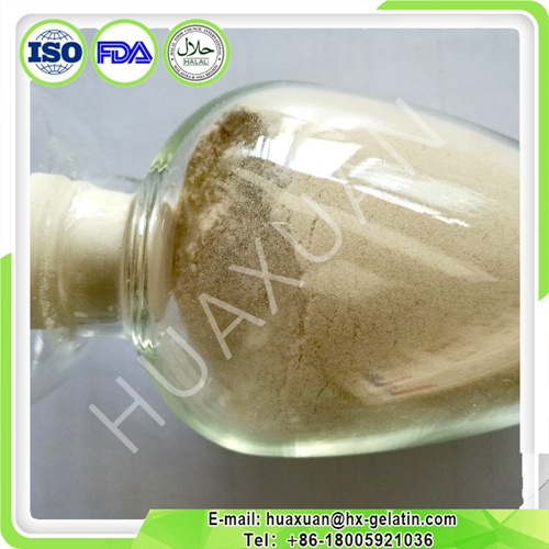 Supply Bulk Citrus Pectin Powder