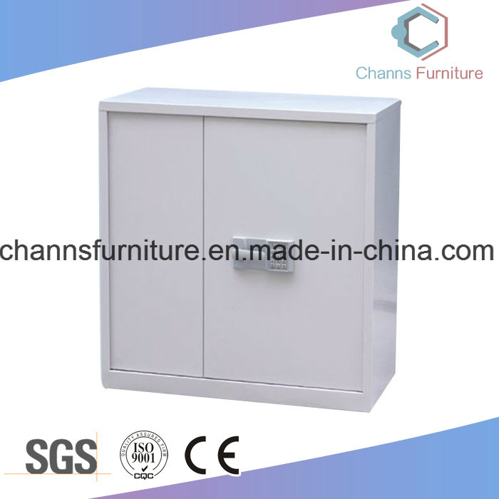 Precosion Custom Galvanzied Steel File Cabinet with Password