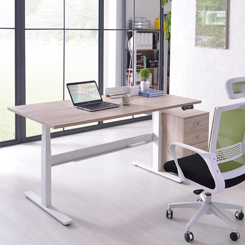Standing Computer Desk with Hieght Adjustment