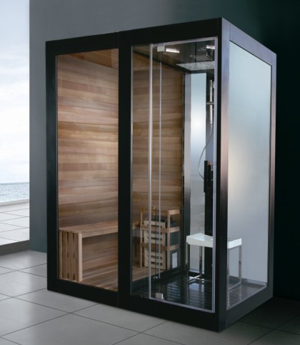 Hot New Sauna Steam Shower From China Manufacturer