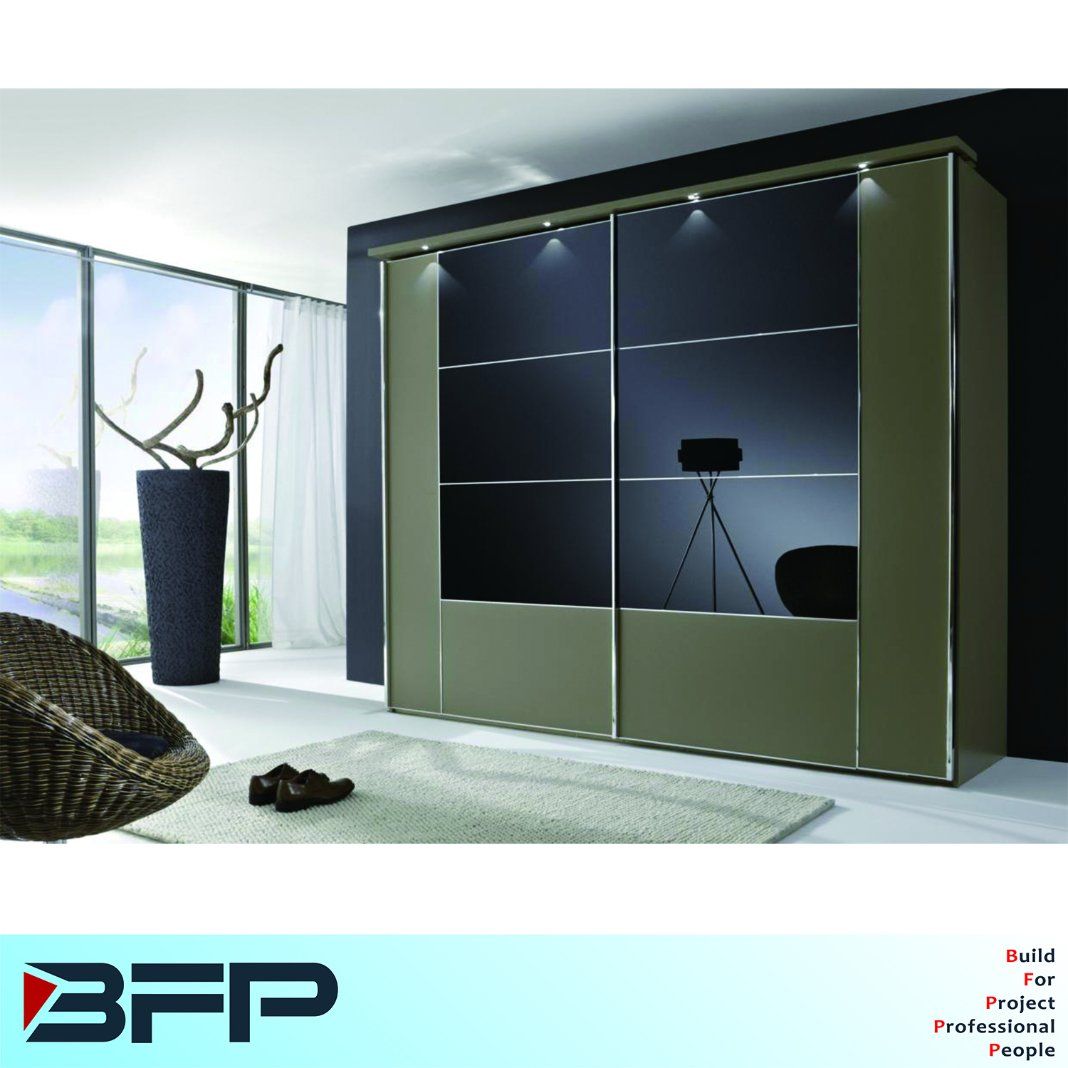 Wooden Wardrobe with Glass Furniture Closet