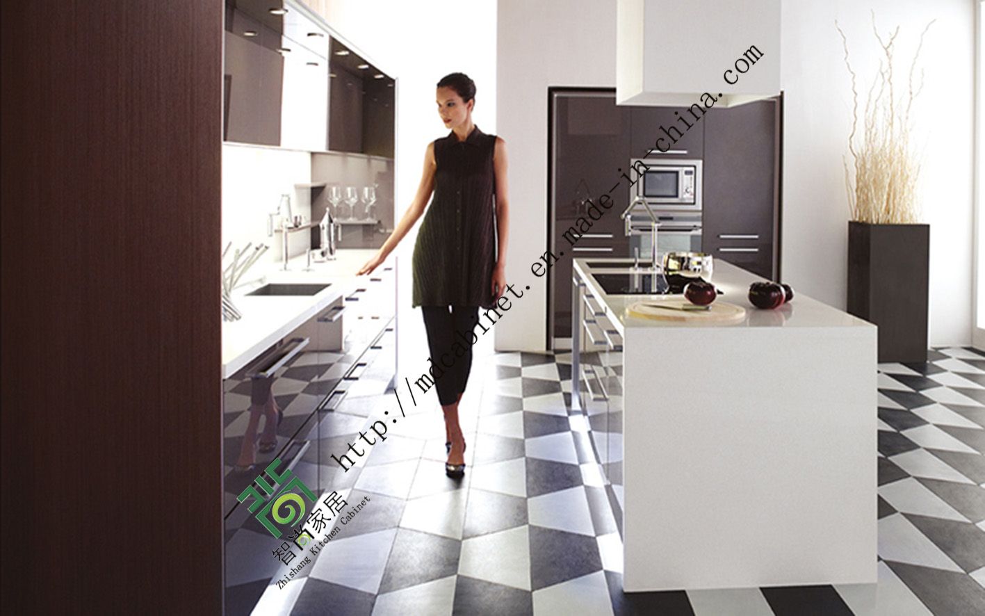 2015 Luxury Electric Lacquer Kitchen Cabinet (zs-220)