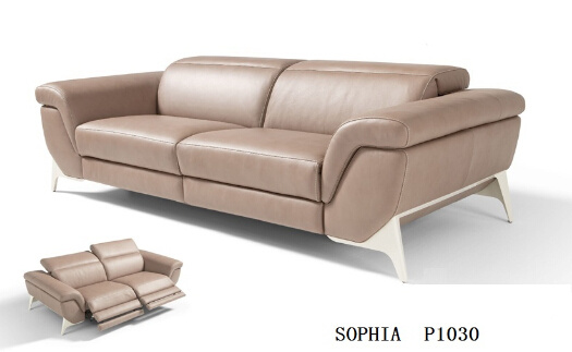 Home Furniture Living Room Sofa with Sectional Recliner