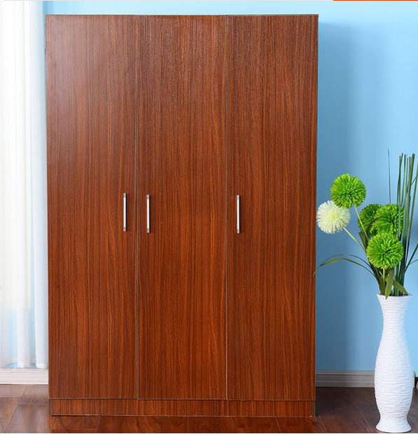 Modern Design Closet with 3 Doors