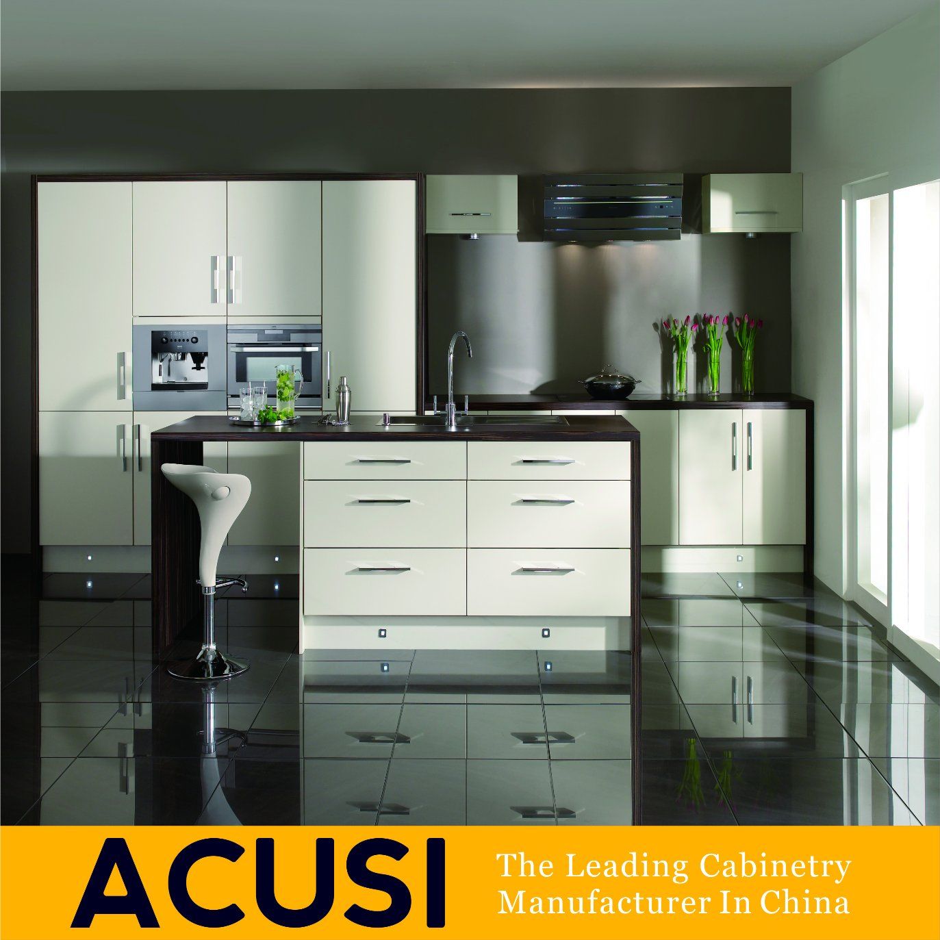 Wholesale High Quality Modern Lacquer Kitchen Cabinets (ACS2-L47)