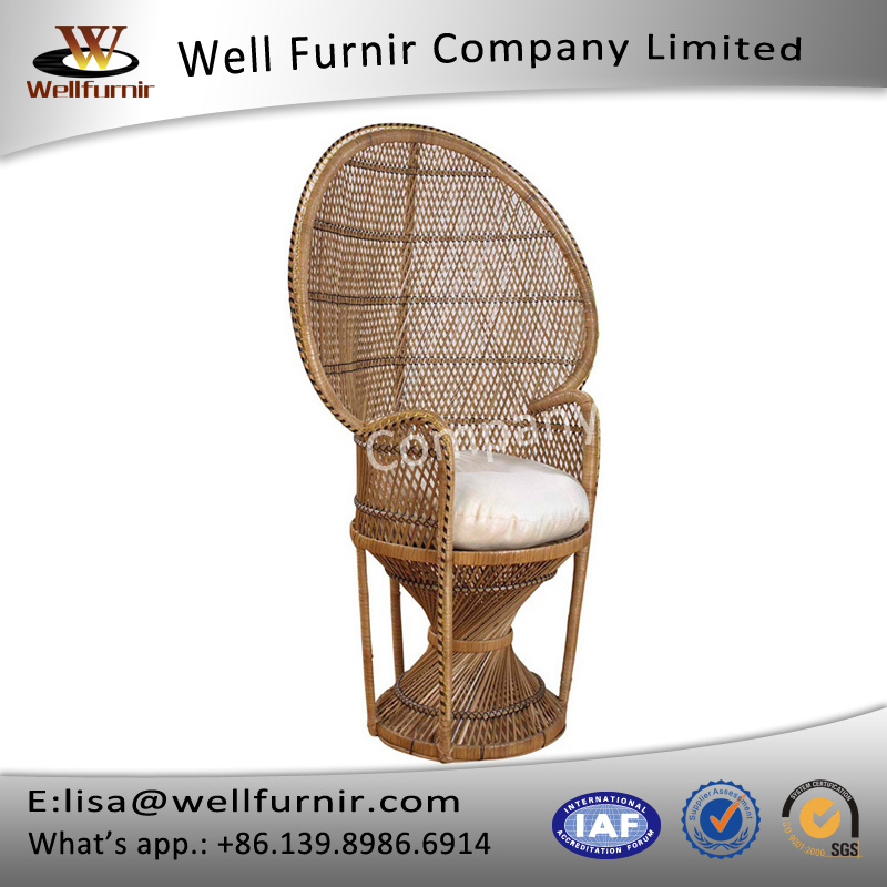 Well Furnir T-033 Whitewash Dramatic High-Back Accent Rattan Peacock Chair