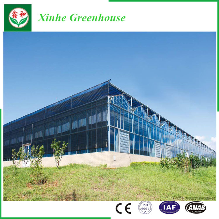 Steel Structure Greenhouse for Ecological Restaurant