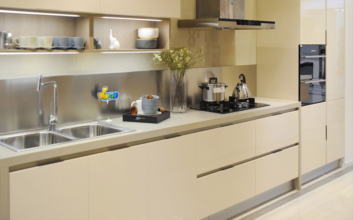 Lacquer Modern Wood Kitchen Cabinet with Painting Door (zz-007)