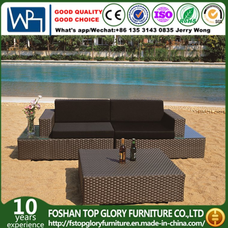 Garden Hotel Sofa PE Rattan Sofa with Coffee Table (TG-JW03)