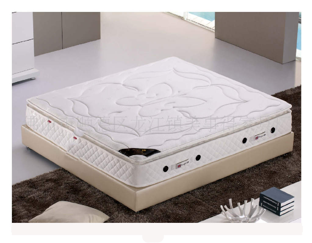 Ruierpu Furniture - Made in China Furniture - Bedroom Furniture - Furniture for Family - Soft Furniture - Furniture - French Sofa Bed - Beds - Anti-Mite Spring